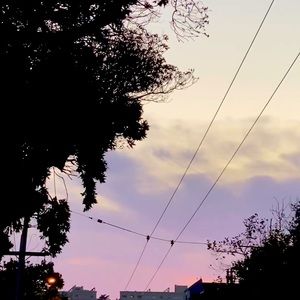 Private Listing for Nanmiyabird